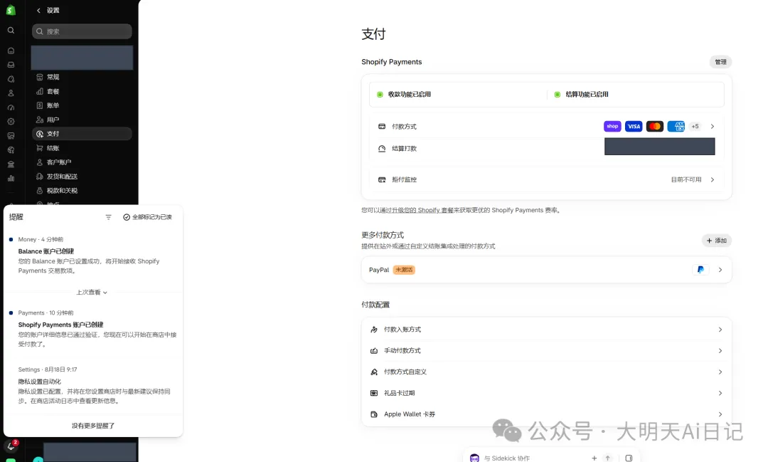 图 10|后续支付页面显示“收款功能已启用”和“结算功能已启用”,并出现 Payments 与 Balance 账户已创建的通知。